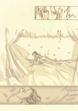 Page 21 of D+COLLECTION