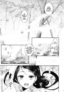 Page 4 of Seidorei Senki