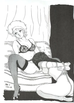 Page 17 of Look Out 3R