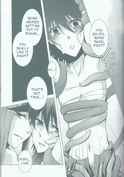 Page 14 of Victim Sanctuary