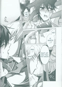 Page 19 of Victim Sanctuary