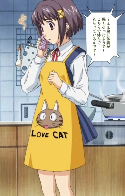 Page 212 of Kanojo ga Mimai ni Konai Wake Special Complete Ban