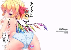 (Reitaisai 13) [Sujoyu & Co. (Sujoyushi)] Aru Hi Mori no Naka Flan-chan ni Deatta. (Touhou Project)